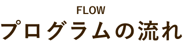 プログラムの流れ