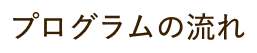 プログラムの流れ